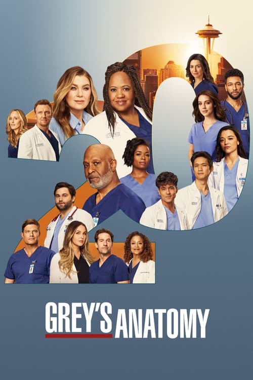 Grey’s Anatomy : 11.Sezon 16.Bölüm