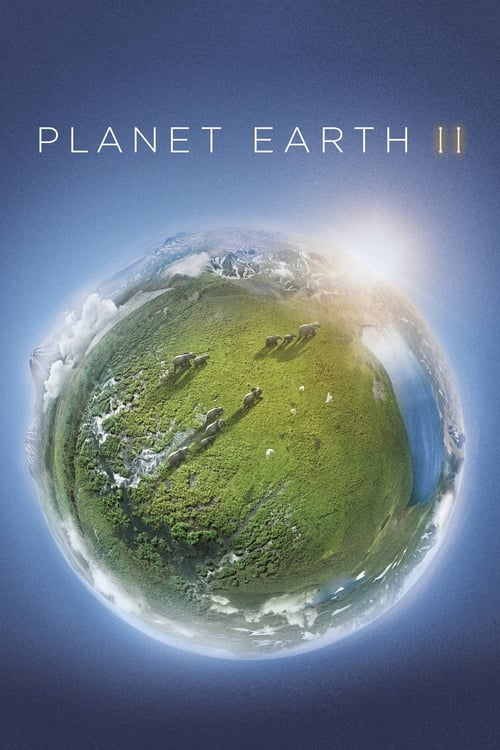 Planet Earth II : 1.Sezon 5.Bölüm