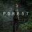 The Forest : 1.Sezon 3.Bölüm izle
